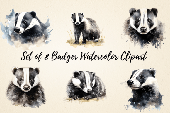 Badger Watercolor Clipart Bundle: Illustrations for Branding