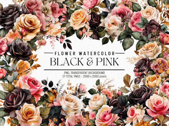 Black Pink Flowers Watercolor Illustrations Review