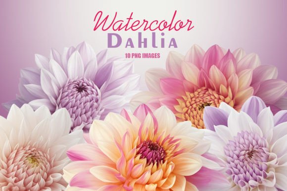 Dahlia Flower Watercolor Sublimation PNG Review