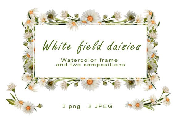 Daisy Watercolor Frame Clipart Chamomile Illustrations