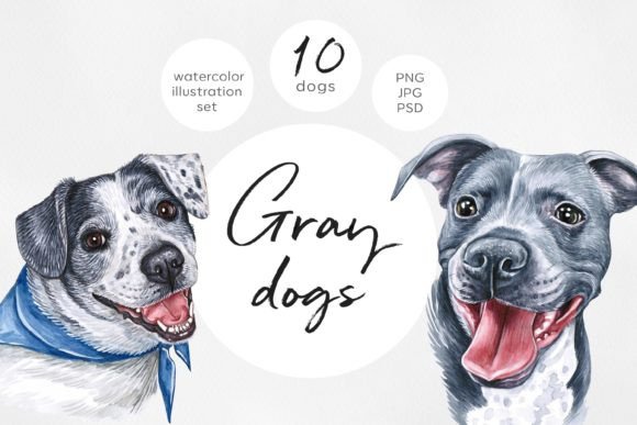 Gray Dogs Illustrations: Watercolor Set Review
