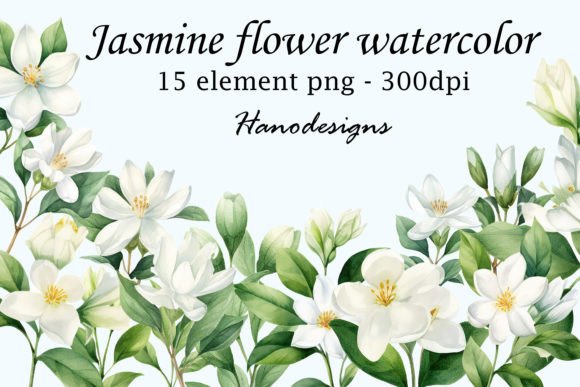 Jasmine Flower Watercolor Illustrations for Digital Products