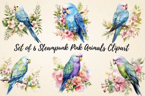 Parakeet Watercolor Clipart Bundle: Editorial Illustrations