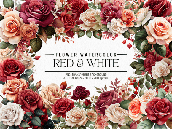 Red White Flowers Watercolor Illustrations for Editorial