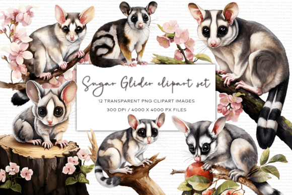 Sugar Glider Watercolor Clipart Set Illustrations