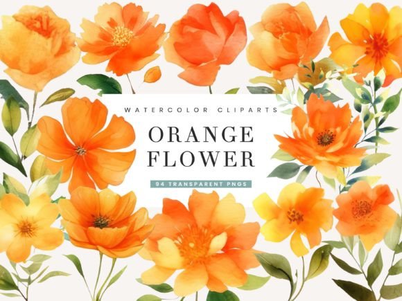 Summer Watercolor Orange Green Flowers Illustrations