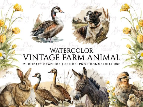 Vintage Farm Animal Illustrations: Clipart Review