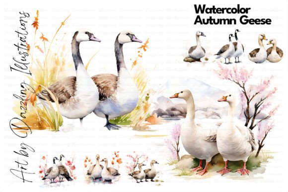 Watercolor Autumn Geese Goose Illustrations Review