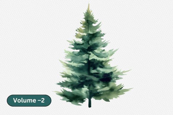 Watercolor Evergreen Tree Volume 2 Illustrations Review