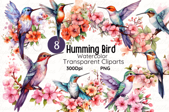 Watercolor Hummingbirds Clipart Set PNG Illustrations Review
