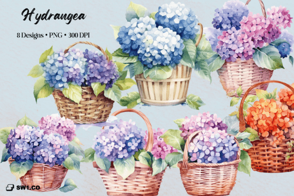 Watercolor Hydrangea Flower Clipart for Illustrations