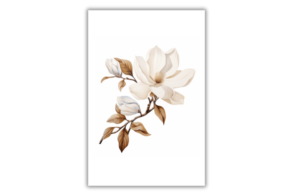 Watercolor Magnolia Flower Illustrations for Art Prints