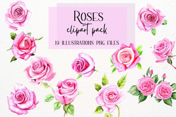 Watercolor Roses Illustrations for Brand Content