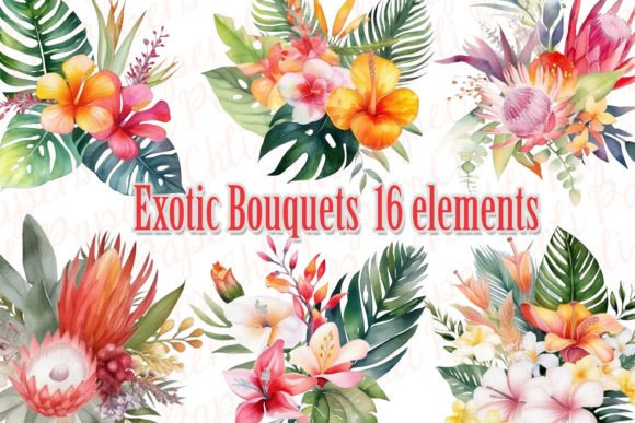 Watercolor Tropical Flowers Clipart Illustrations Review