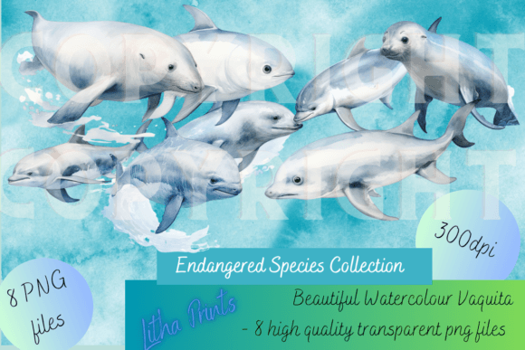 Watercolour Vaquita Illustrations for Handmade Crafts