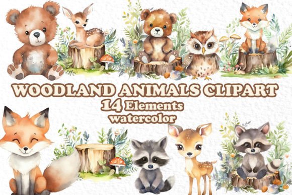 Woodland Animals Watercolor Clipart Illustrations